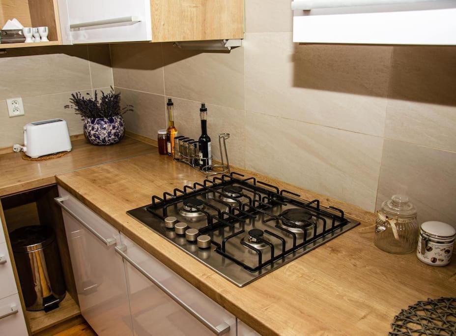 Zlty Domcek - Apartman Svabovce エクステリア 写真