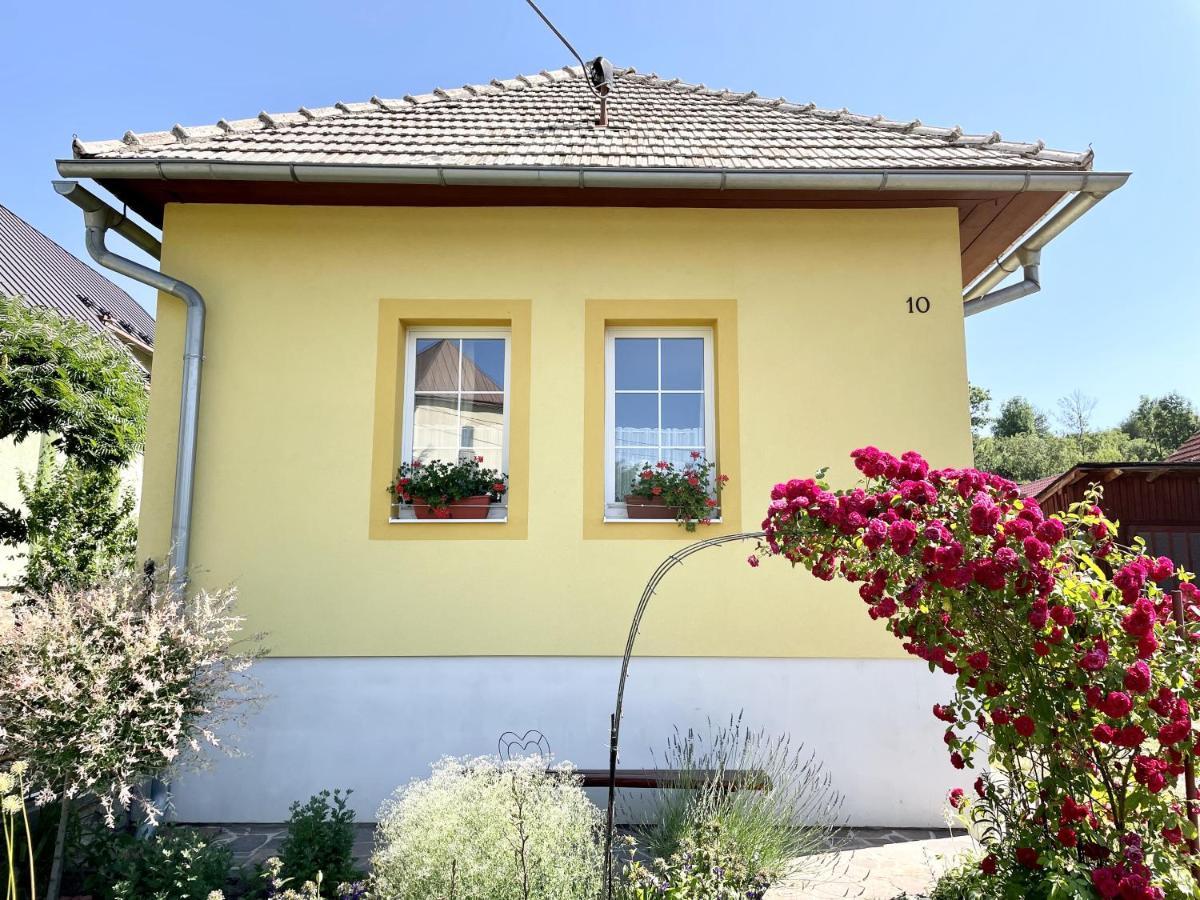 Zlty Domcek - Apartman Svabovce エクステリア 写真